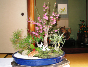 Photo_2