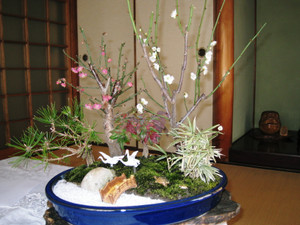 Photo_3