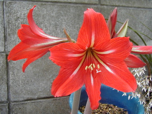Photo_2
